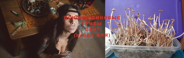 дживик Баксан