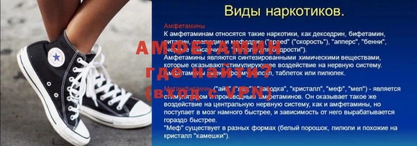 индика Осинники