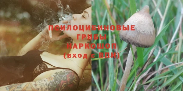 дживик Баксан