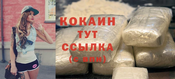 дживик Баксан